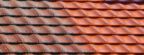 Roof Cleaning & Coating in Devon